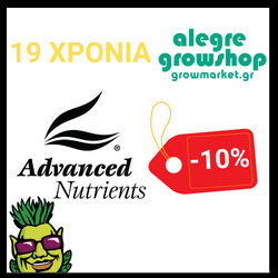 Advanced -10%