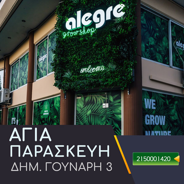 Alegre Αγία Παρασκευή