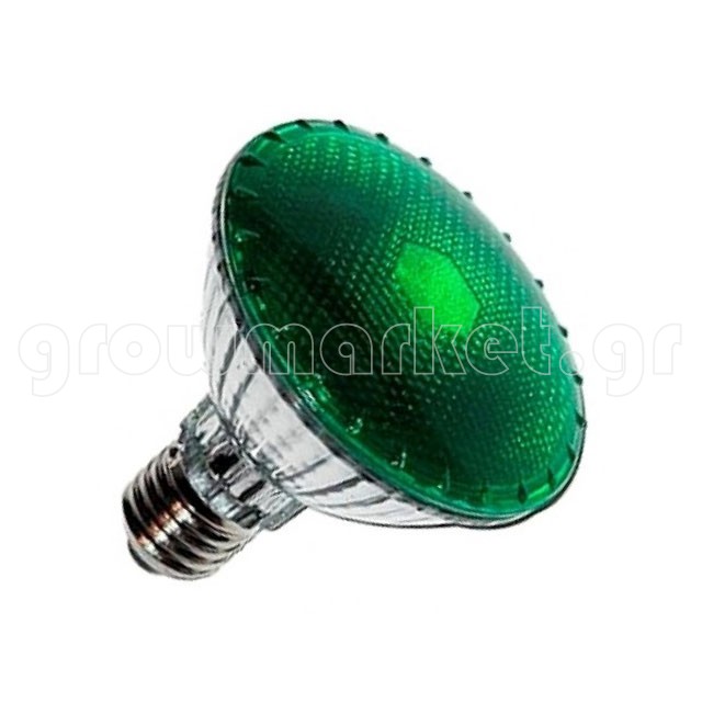 Agrolite Lamp 100W Dark Night
