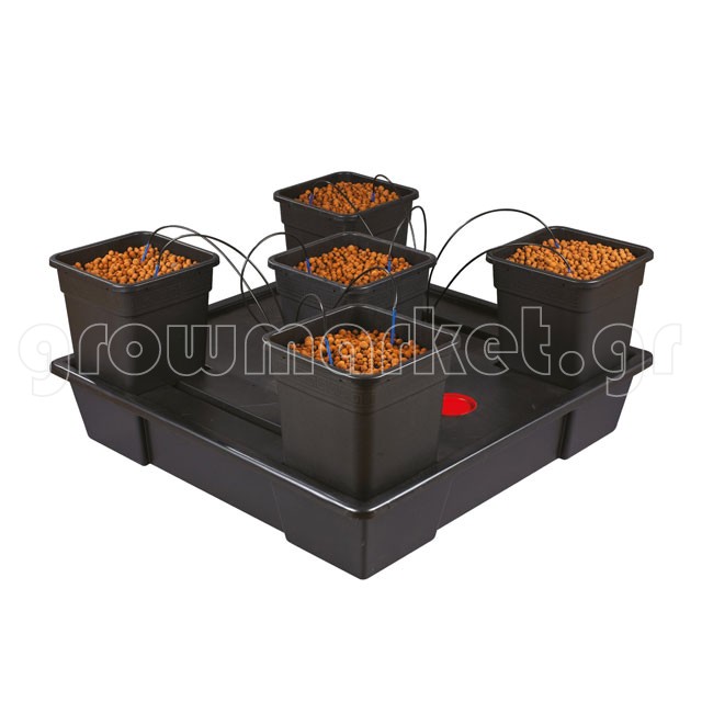 New Wilma XXL 5 Complete (5 x 25 lt Pots)