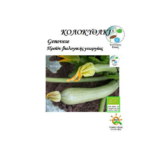 BIO Κολοκύθι Genovese 1gr