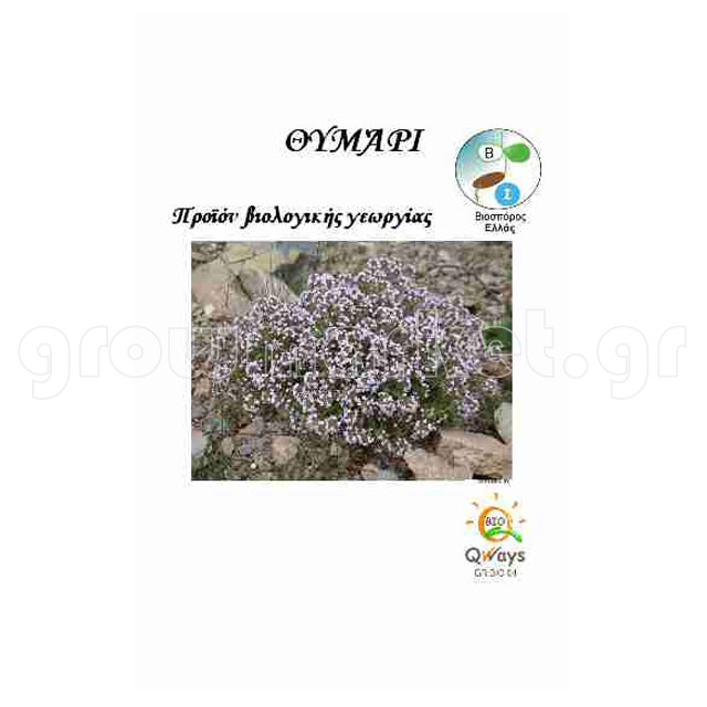 Θυμάρι