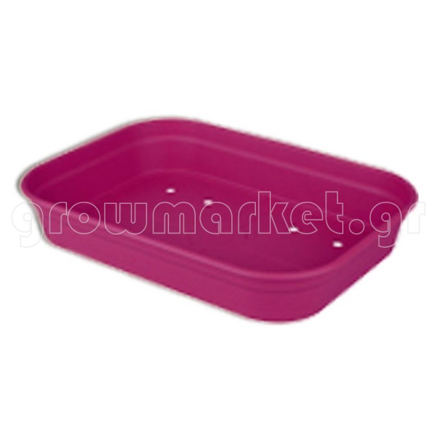Green Basics Grow Tray M cherry
