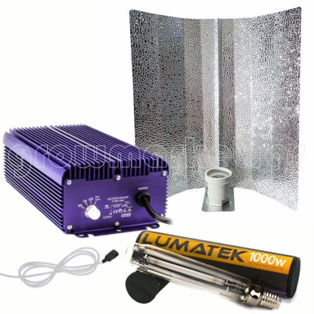 Kit 1000W HPS