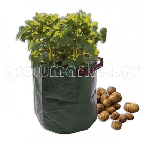 35cf0b8e636f37e3b0632f100464619e