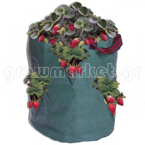 621f0ab29271f3bce1613b7811bb8a03