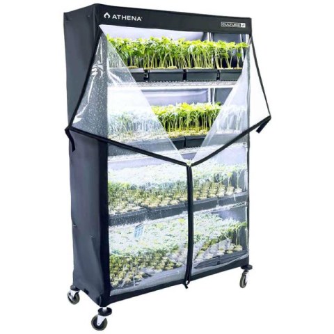 Athena VP Dome Propagator 120x45x180cm 