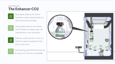 The Enchancer CO2 TNB Naturals