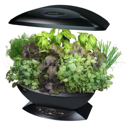 Aerogarden Black