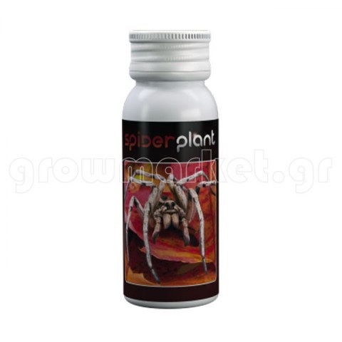 Spider Plant 15ml