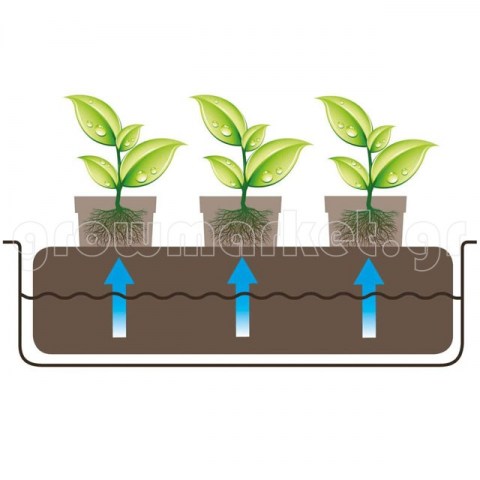 Coco Mating and Root Control Sheet Pack 51cm x 30cm