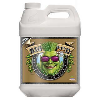 Big Bud Coco Liquid 1lt