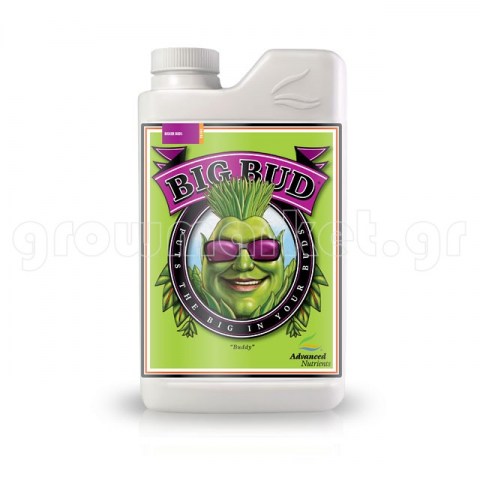 Big Bud 500ml