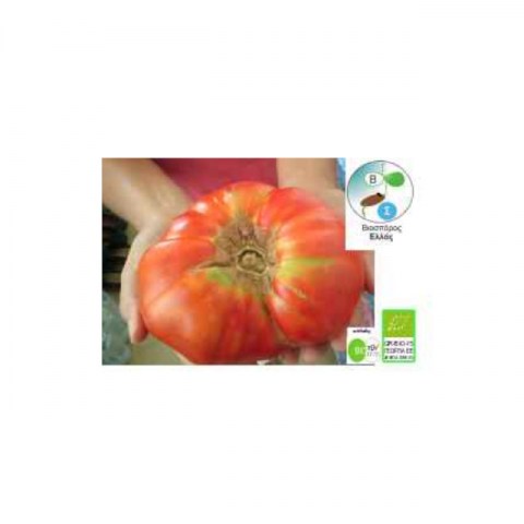 BIO Τομάτα Rosa