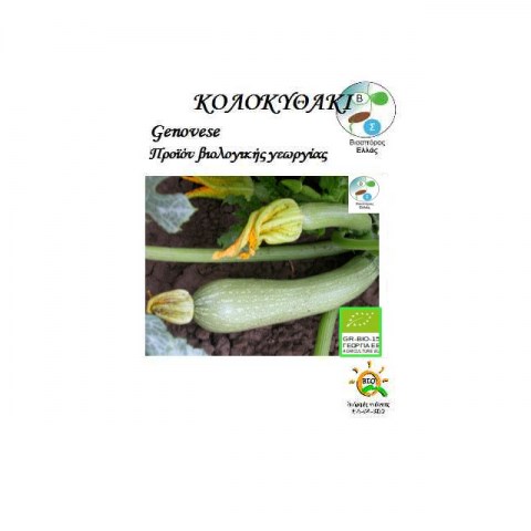 BIO Κολοκύθι Genovese 4gr