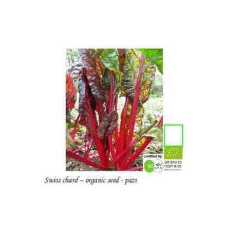 BIO Σέσκουλο Rhubarb Chard (Κόκκινο) 1gr