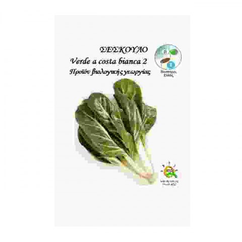 BIO Σέσκουλο Verde a Costa Bianca