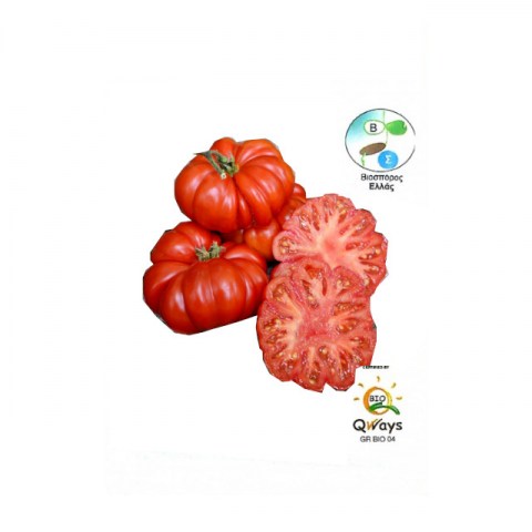 BIO Τομάτα Costoluto 0.2gr