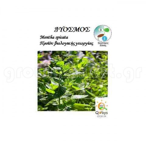 Δυόσμος Mentha Spicata 0,01gr