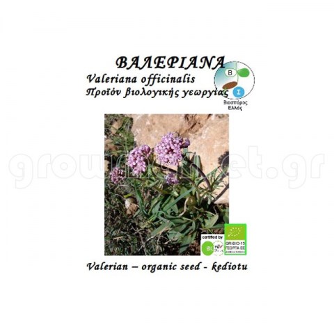 Valeriana Officinalis