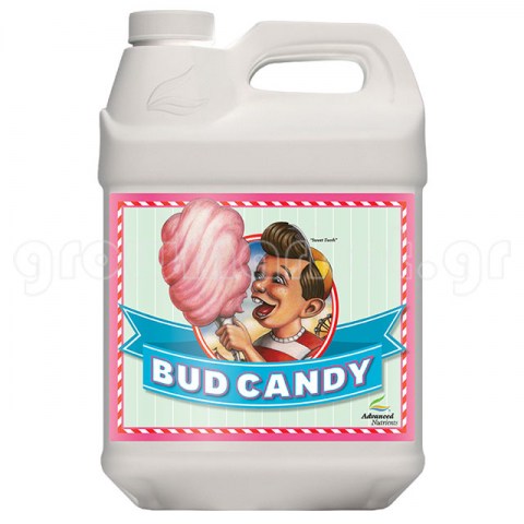 Bud Candy 5lt