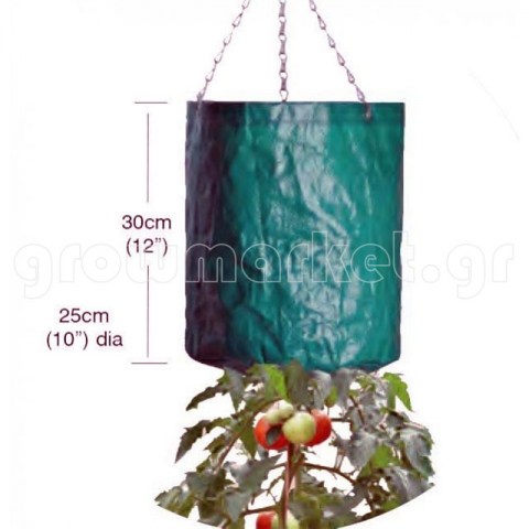 Hanging Tomato Bag