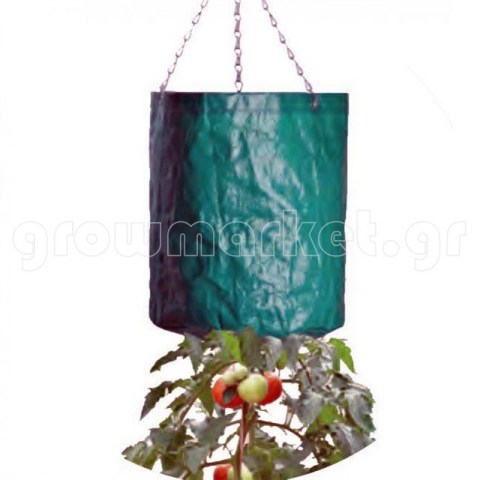 Hanging Tomato Bag