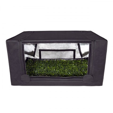 Probox Propagator M (60x60x40cm)