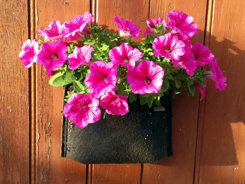 Gronest Wall Planter 10lt