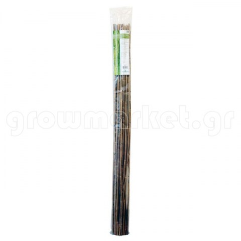 Bamboo Stakes 4' (120cm)