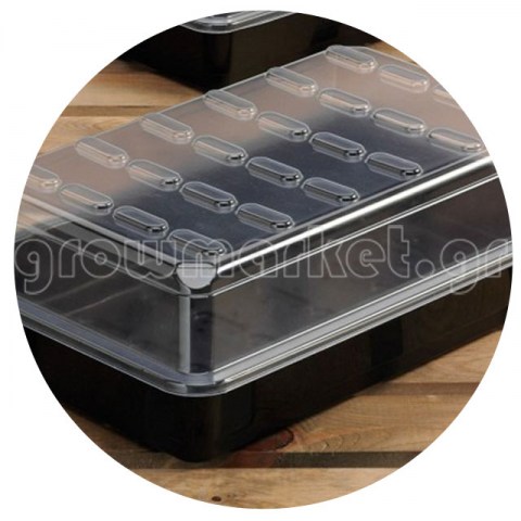 Large Budget Propagator