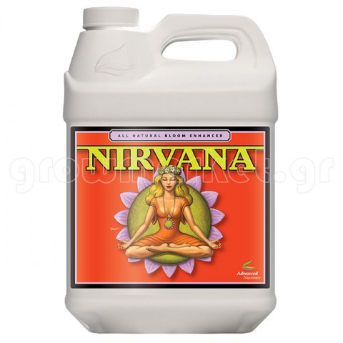 Nirvana 4lt