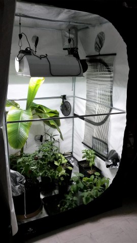 Solea Ultra Flat Heater 60cmx58cm