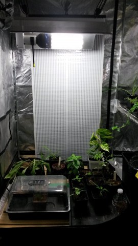 Solea Ultra Flat Heater 60cmx58cm