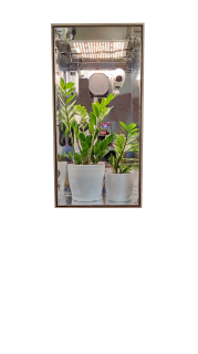 Custom LED Grow Box