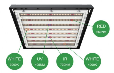 TDR LED 150W