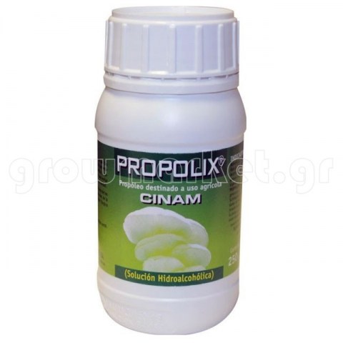 Propolix Cinnamon 250ml