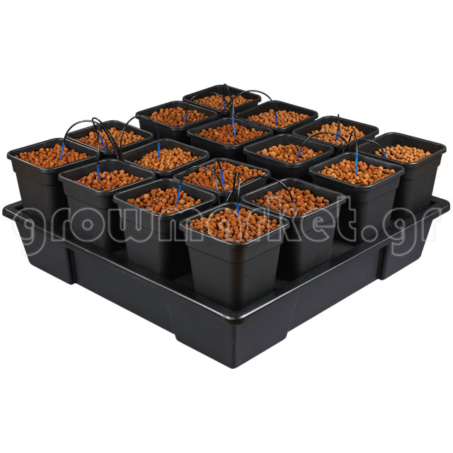 New Wilma XXL 16 Complete (16x11lt Pots)