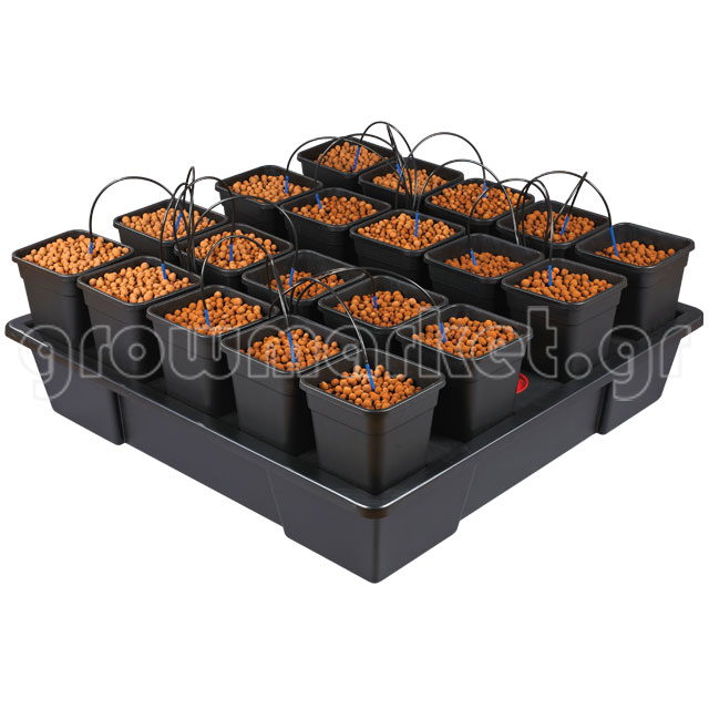 New Wilma XXL 20 Complete (20x6lt Pots)