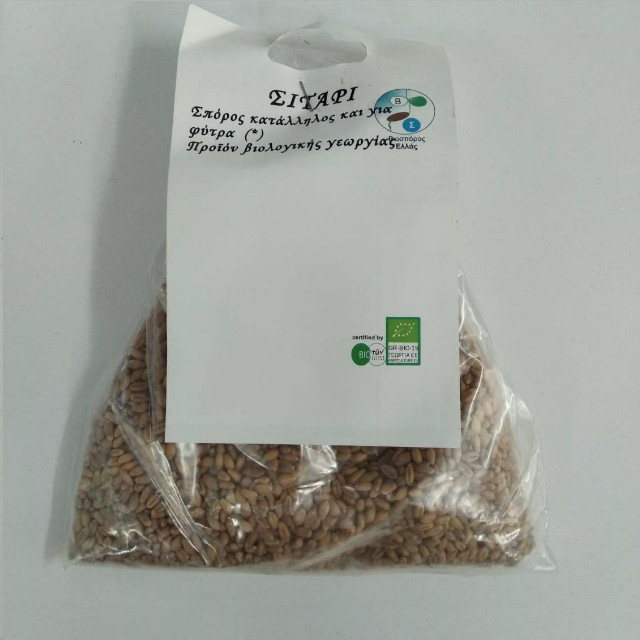 BIO Σίτος για Φύτρα Triticum durum 50gr
