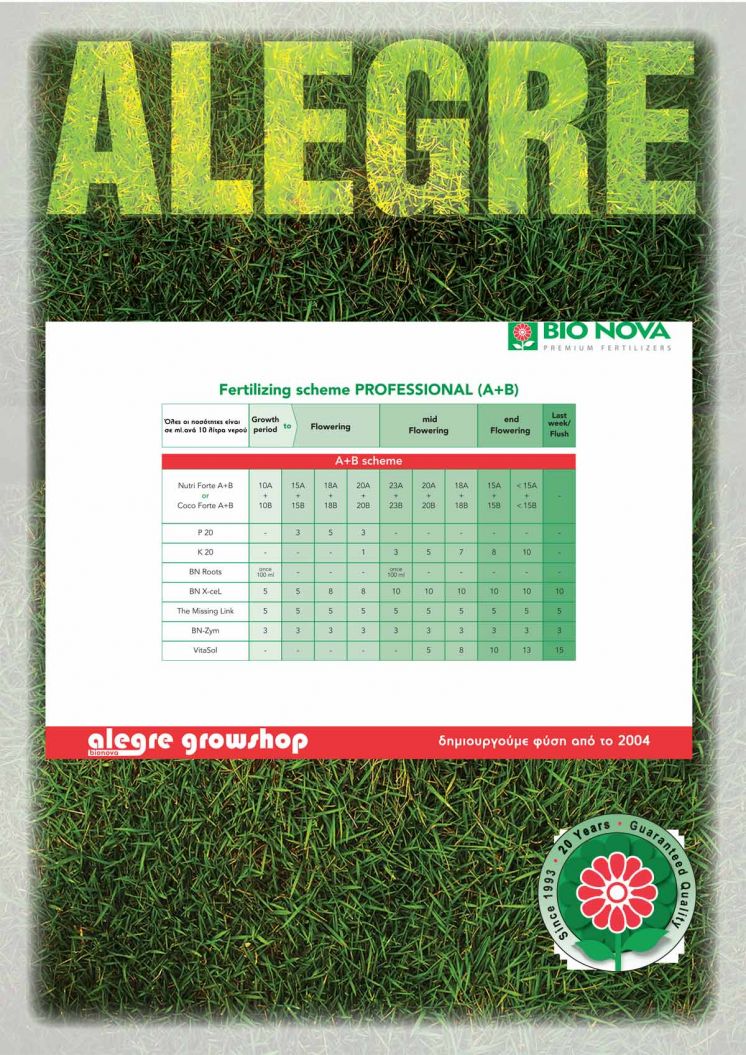 Bio Nova Scheme Professional (A+B)