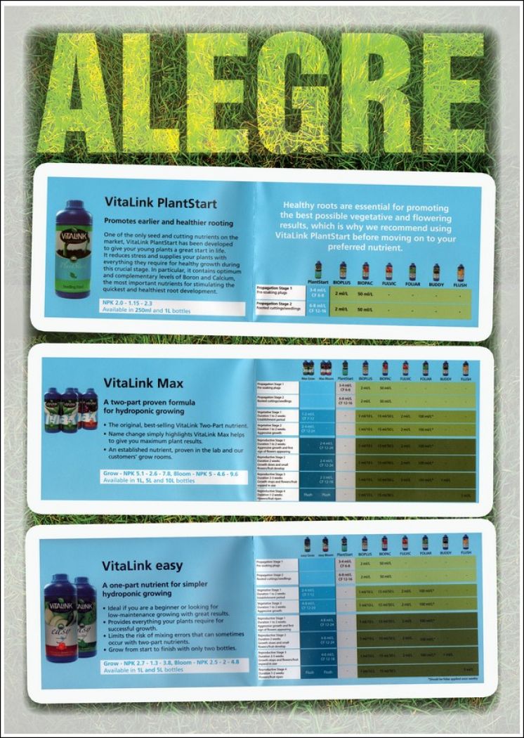 VITALINK