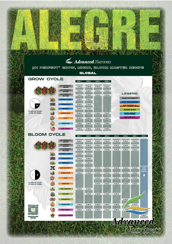 Advanced Nutrients Grow Bloom Micro Master