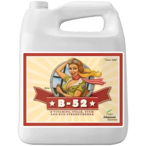 B-52 Fertilizer Booster 20lt