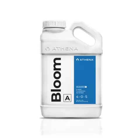 Athena Bloom A 18,92lt
