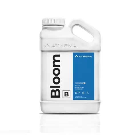 Athena Bloom B 18,92lt