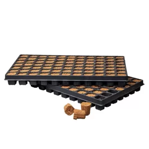 Canna Rootplug Tray 77 Sheats 