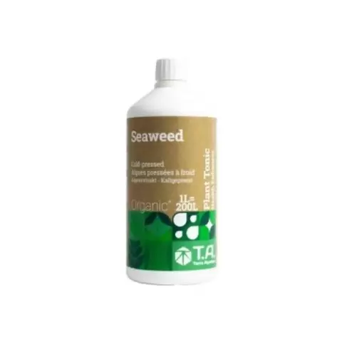 Seaweed 500ml