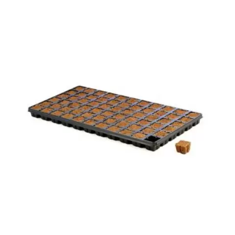 Eazy Plug CT77 dried