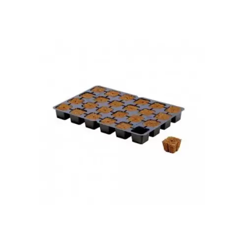 Eazy Plug CT24 dried